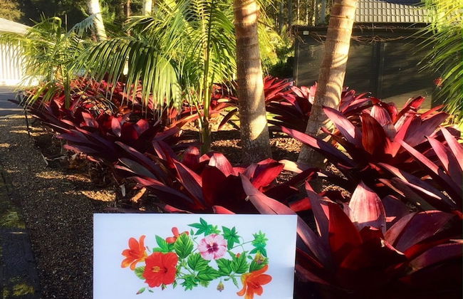 Stay Kerikeri Boutique Apartments and Studios - Foto 6