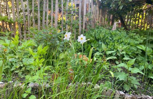 Walnußhof - Foto 55