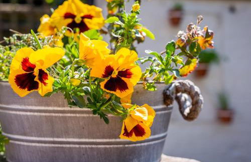 Mallard Cottage - Foto 24