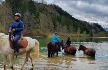 Ponyhof Schöllang - Foto 26