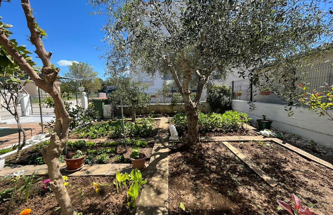 Apartments Kekic - Foto 44