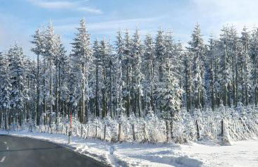 Haus Schneider - Photo 45