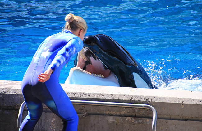 SEAWORLD SAN ANTONIO - Foto 7