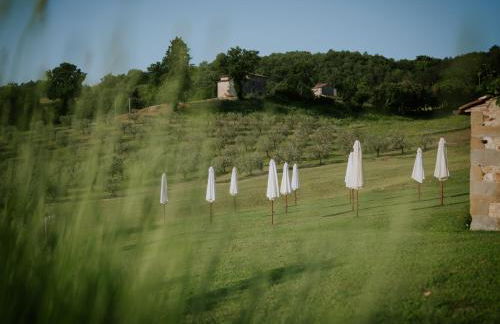 Agriturismo Podere Tovari - Foto 25