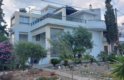 House on the beach - Photo 44