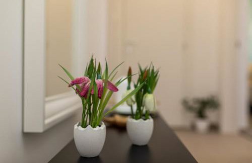 Apartman Gržetić - Foto 14