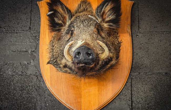 Premium Apartment in Saint-quirin With Garden - Foto 60