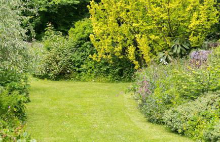 Ty Fry Cottage - Foto 47