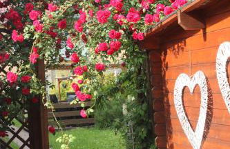 Apartmenthaus Wertheim - Foto 10