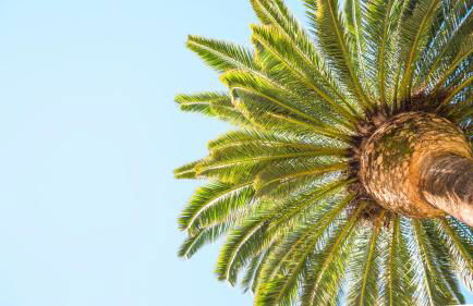 Suites ROC Portonova - Foto 30