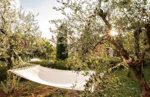 Casetta di Butia, Ginestra apartment with swimming pool - Foto 38