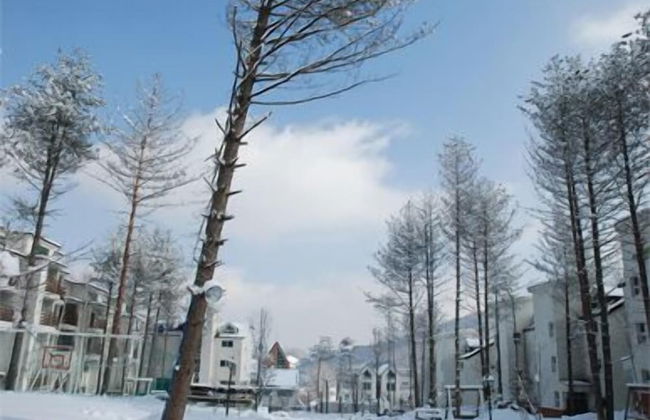 Eastern Vill - Photo 40