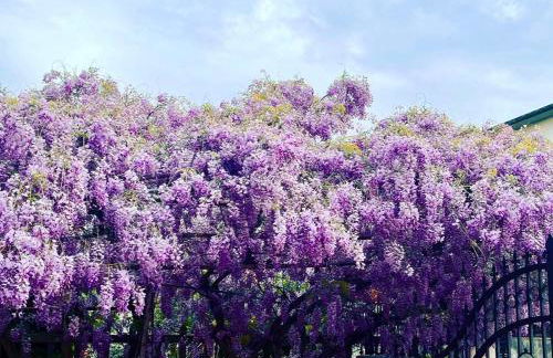 Casa Ceccanti - Foto 27