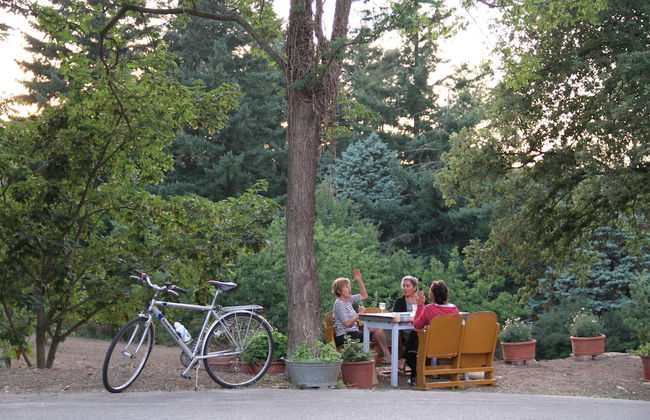 L'Asino Vola - Foto 47