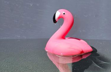 Weranda & bania Siemiany - Foto 20