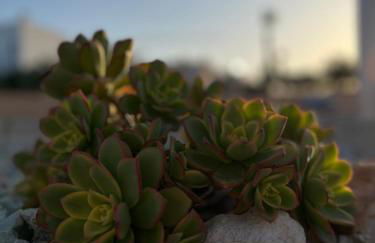 VillaCasaEmilyo - Foto 37