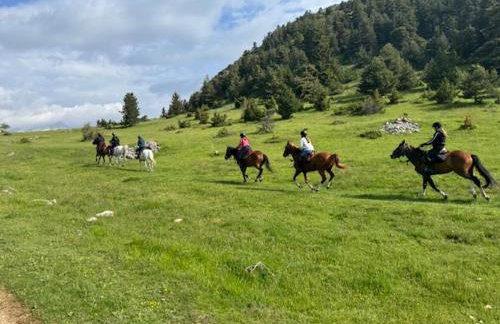 Appart 5-6 pers Superdevoluy, au pied des pistes - Foto 77