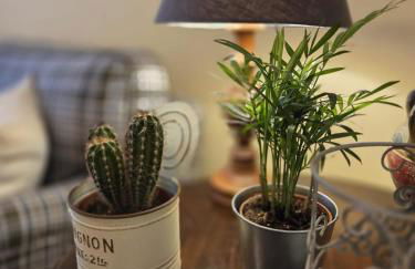 Apartamento turístico Aguere - Foto 28