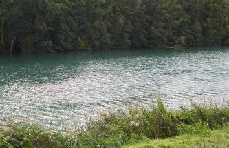 Paradis Champenois - Foto 29