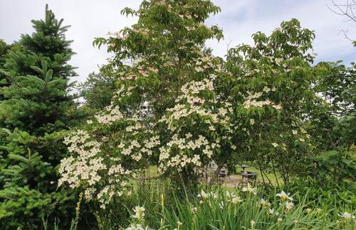 Model Farm by Group Retreats - Foto 42