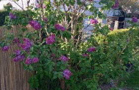 Dom Wakacyjny JM - Foto 7