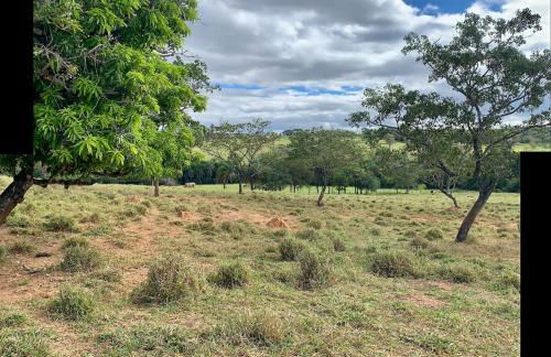 Fazendinha LS - Foto 11