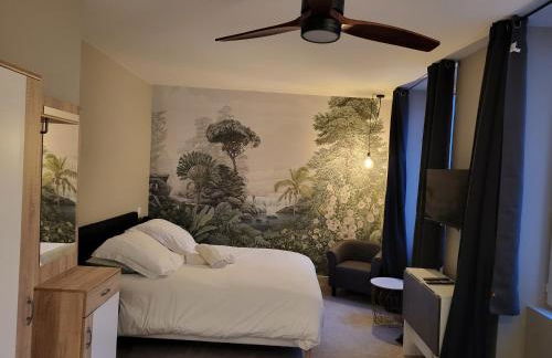 Ainay/centre Lyon/un cocon ! - Foto 1