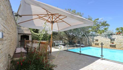 Olive's Hug - Foto 3