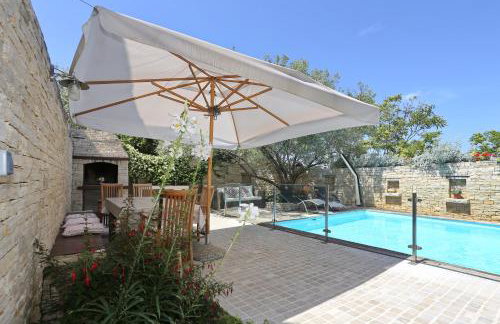 Olive's Hug - Foto 3