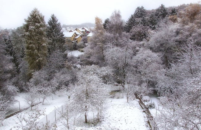 Holiday Apartment Sunflower - Foto 24