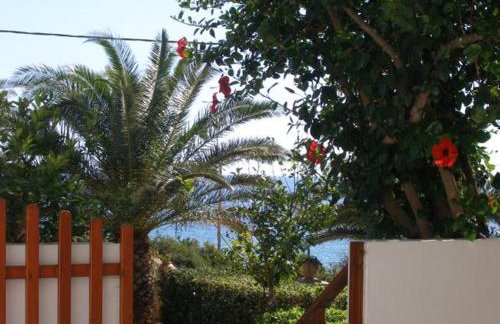 Zorbas Rooms - Photo 15