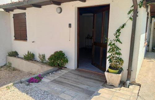 Uliveto Benedetti - Foto 22