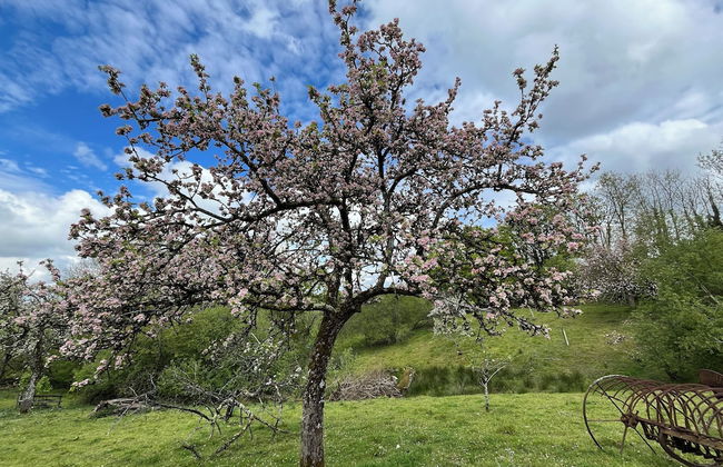 Coombeshead Farm - Foto 18