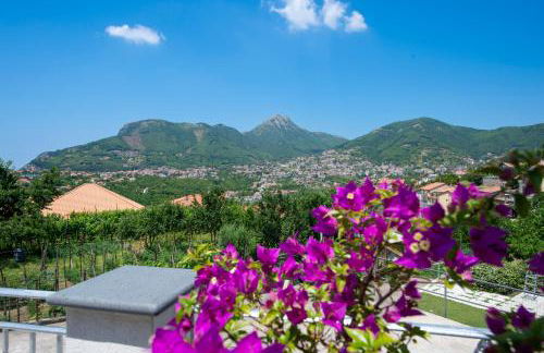 Rosa Maison - Foto 17