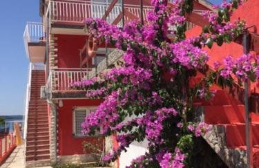 Lipovac resort Ficus - Foto 18