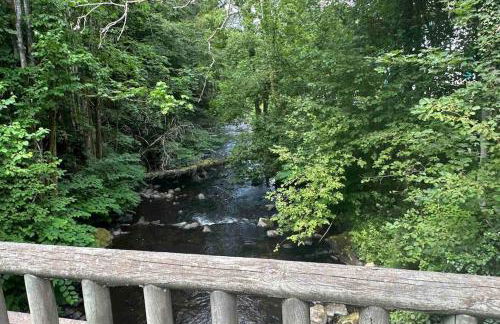 Au Temps Passé - Photo 18