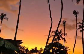 Eco Paradise 110 - Cumbuco - Photo 31