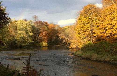 Secluded Cabin with Gorgeous Views near Stockbridge in the Berkshires of Massachusetts - Foto 23