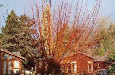 Willow Lodge Auchterarder - Photo 24