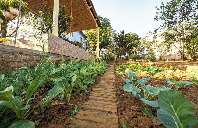 Phương Nam Garden - Photo 30