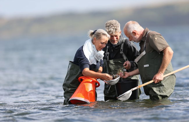 Thyboron Cottages - Foto 14