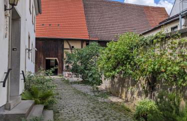 Wohnen am Main 1a-ammain - Foto 4