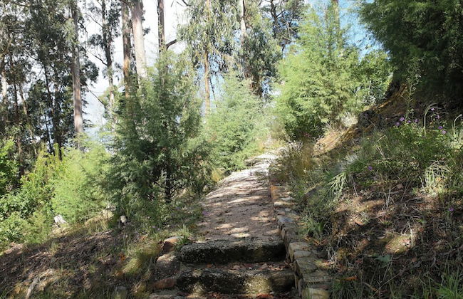 Vumba - Beira Suite - Foto 48