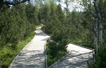 Haus Annemarie - Foto 19