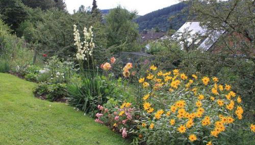 Schmahl Comfortable holiday residence - Foto 5, Other