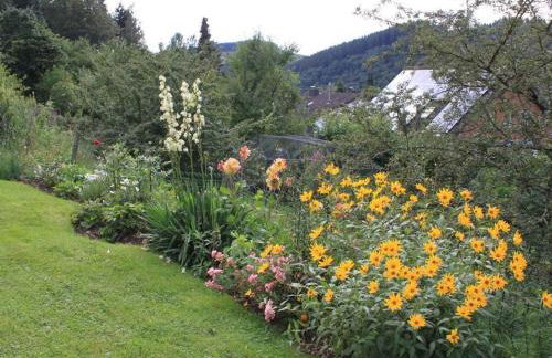 Schmahl Comfortable holiday residence - Foto 5