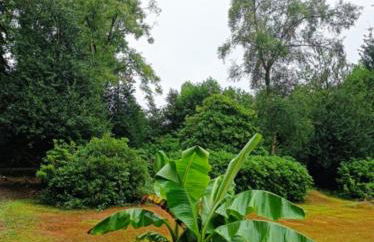 Gîtes Hydra Charme et Nature proche Honfleur en Normandie - Foto 31