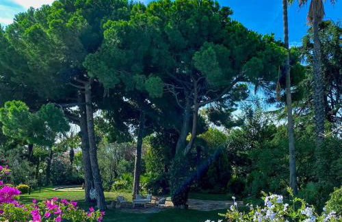 Castillo Meng - Foto 3