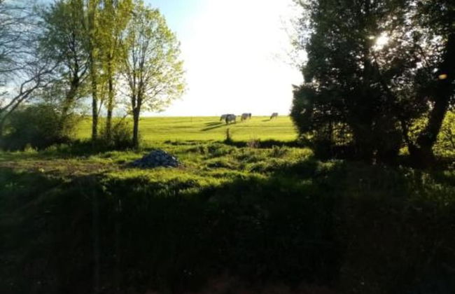 Charming Chalet in Durbuy Near Adventure Valley - Photo 30