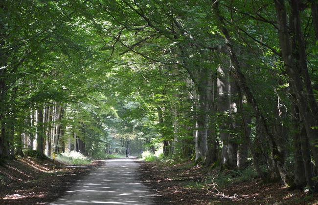 Delightful Castle in Bastogne With Bubble Bath - Foto 73